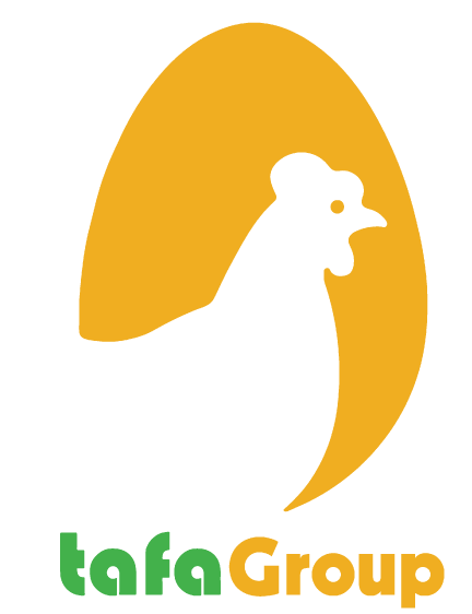 TAFA GROUP