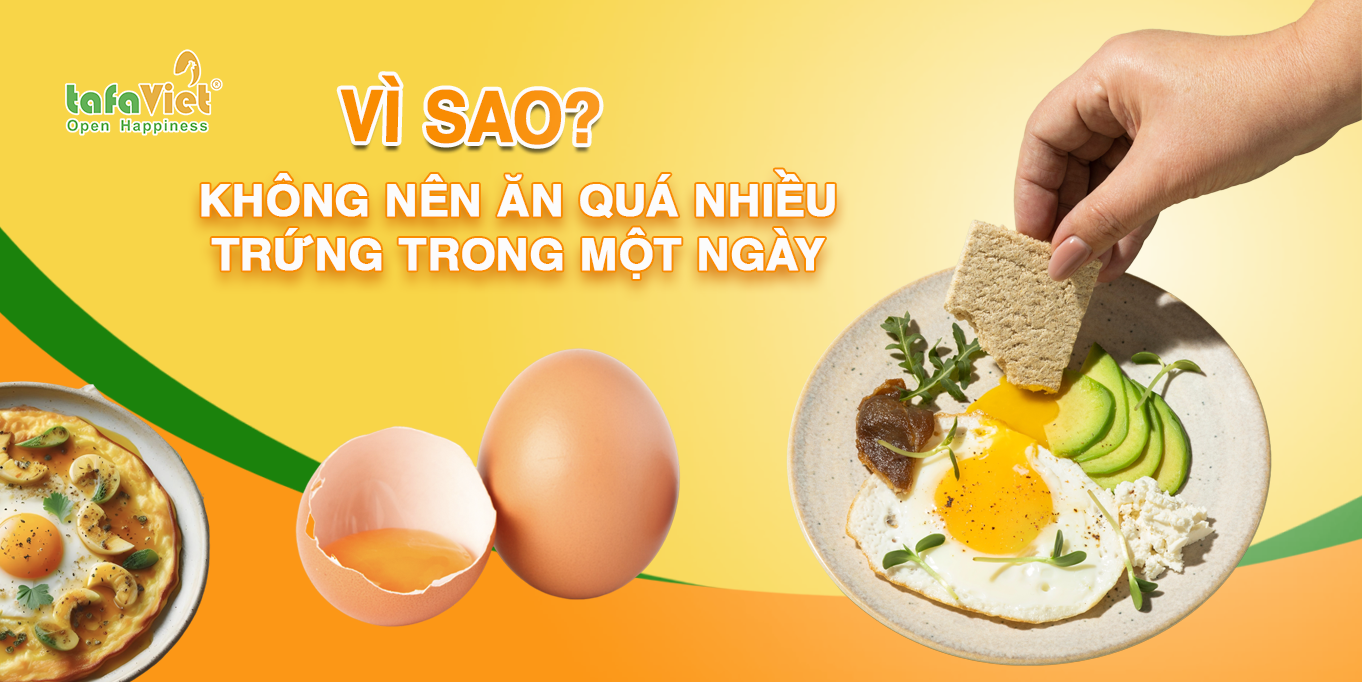 VÌ SAO KHÔNG NÊN ĂN QUÁ NHIỀU TRỨNG TRONG MỘT NGÀY 