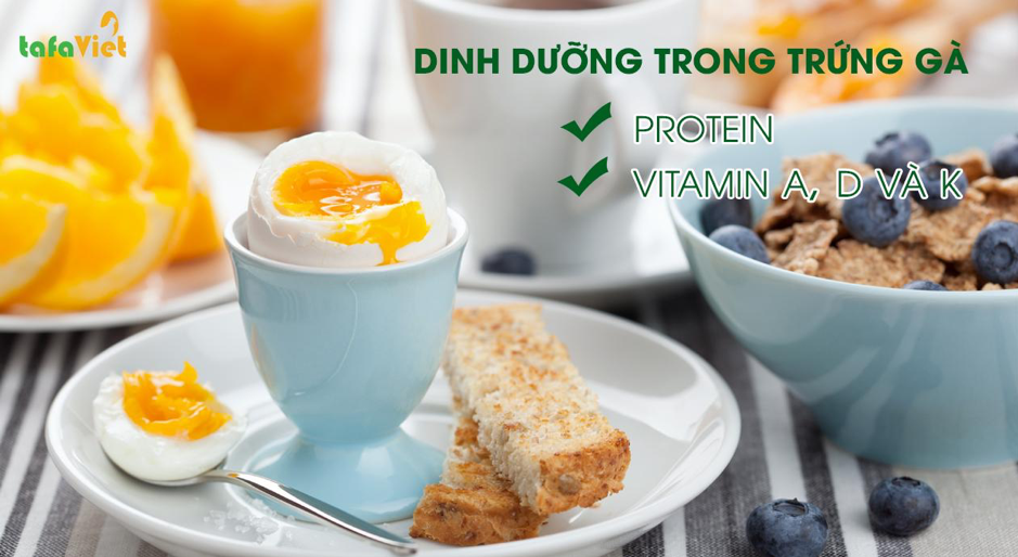 cung cap trung ga sach dinh duong cao