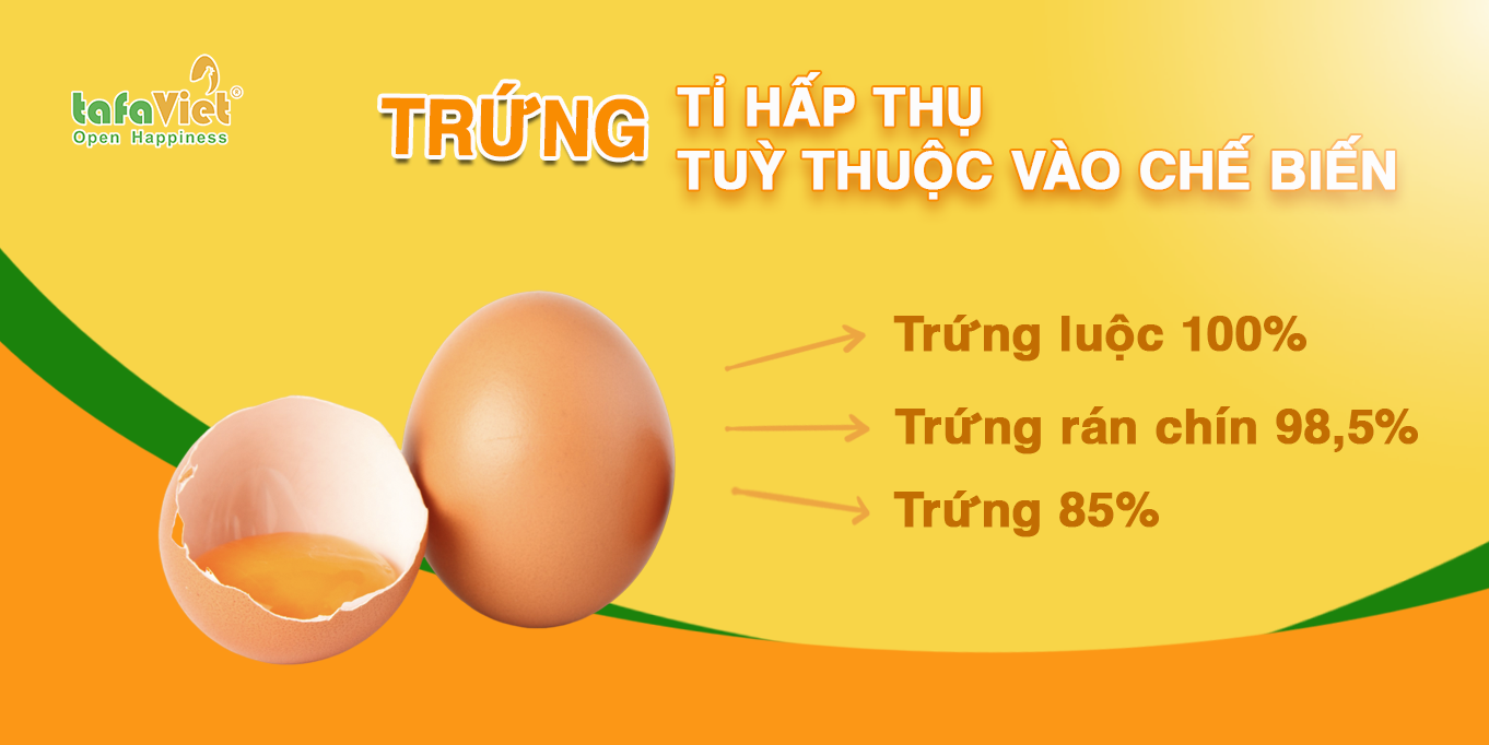 TỶ LỆ HẤP THỤ DINH DƯỠNG TRỨNG TUỲ THUỘC CÁCH CHẾ BIẾN 